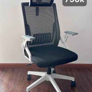 Ghế Văn Phòng Công Thái Học Xiaomi