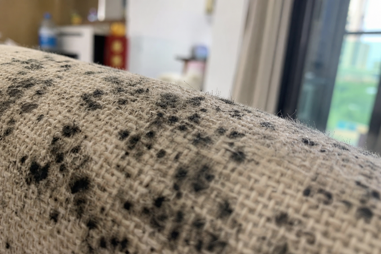 sofa vải bị mốc đen sau mùa mưa ẩm