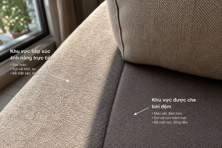 sofa bị phai màu do nắng cửa sổ phòng khách