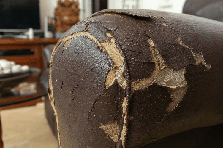 sofa da bị bong tróc cần vá tạm tại phòng khách