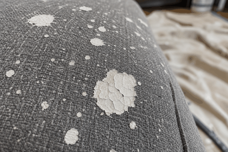 sofa dính sơn tường khi sơn nhà cần tẩy