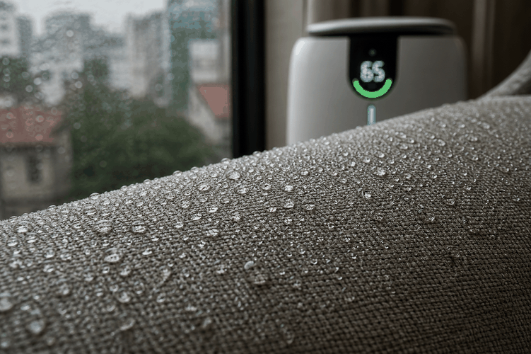 sofa hôi khi trời mưa mùa ẩm phòng khách